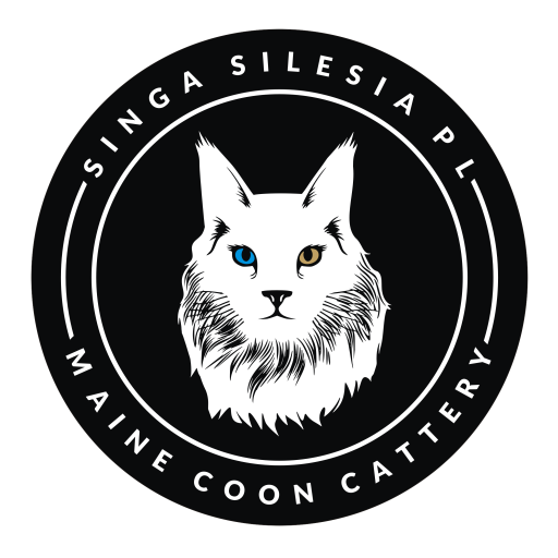 Singa Silesia*PL – Maine Coon Cattery